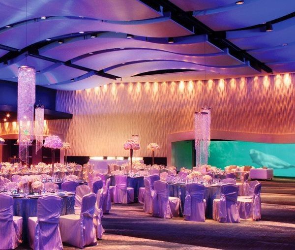 cool reception