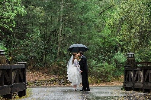 umbrella