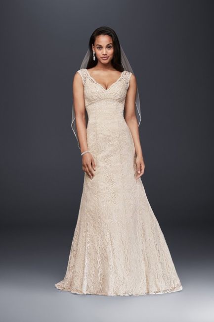 Davids Bridal pic