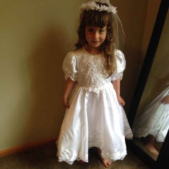 Flower Girl Dress Issue