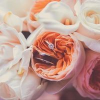 Bridal Bouquet, white or color?