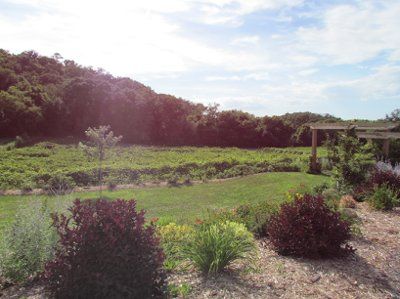 FINALLY found a venue!