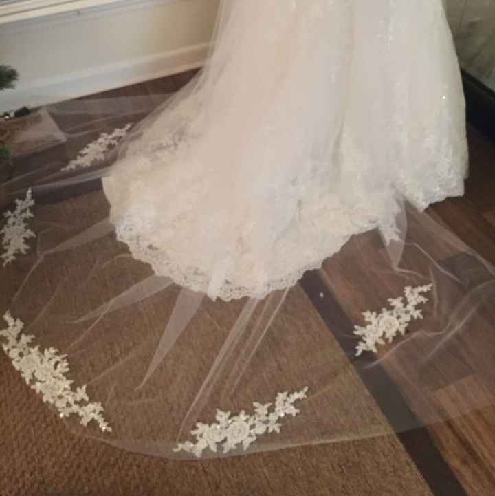 Veils
