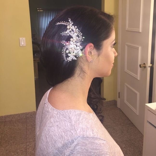 What are you wearing in your hair?