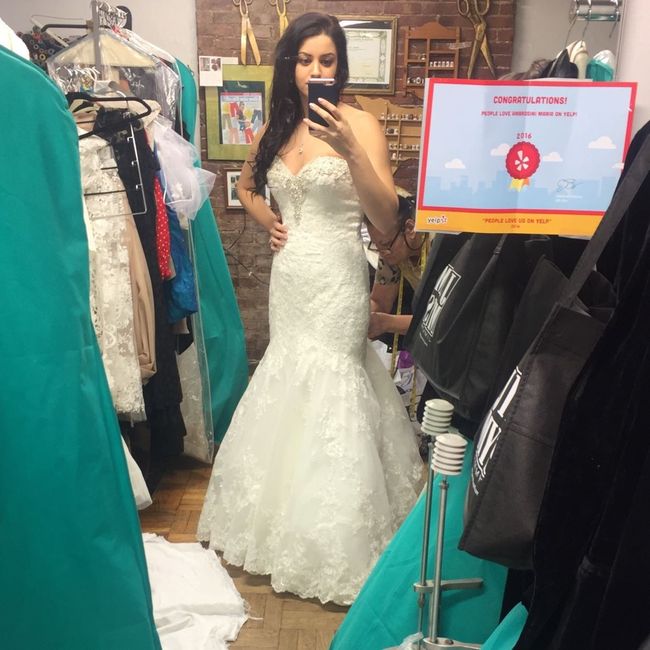 Show me your Allure Romance Dresses!