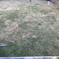 Backyard wedding - 2