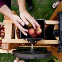 Fall Wedding...Got Any Ideas???