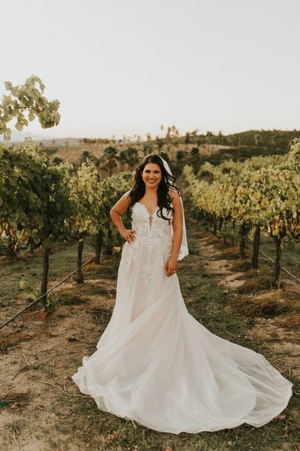Worried my wedding dress won’t come in time! 1