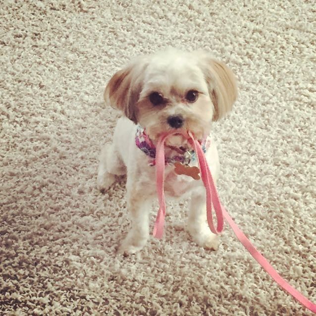 NWR: Puppies and fur babies!