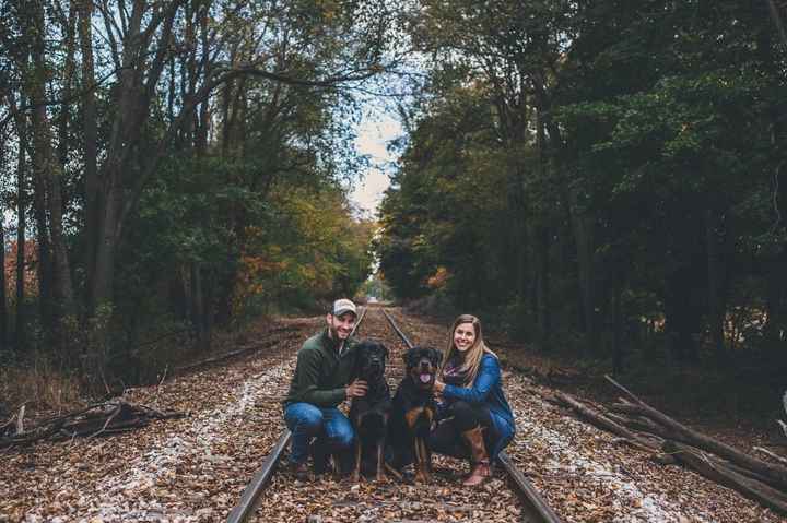 Having your pet in the engagement photos?