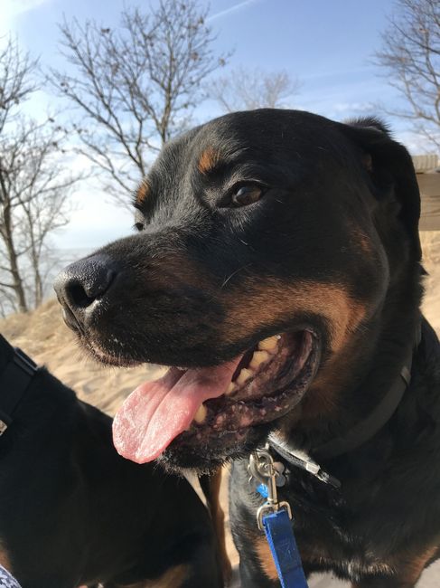 Show me your fur babies!