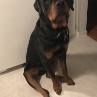 Show me your fur babies!