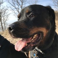 Show me your fur babies!