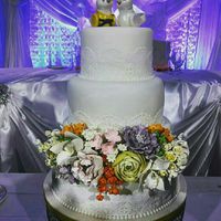 Pro BAM!!!! Pic heavy