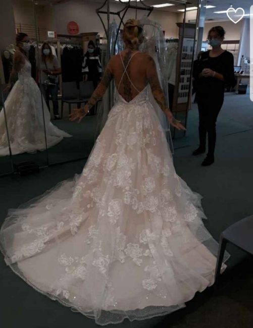 Your Fiance and Your Dress! 2