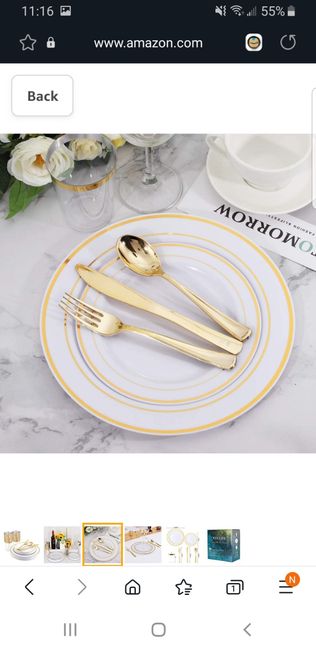 Disposable dinnerware? 1