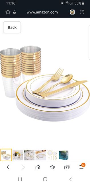 Disposable dinnerware? 2