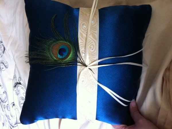My peacock diy adventures