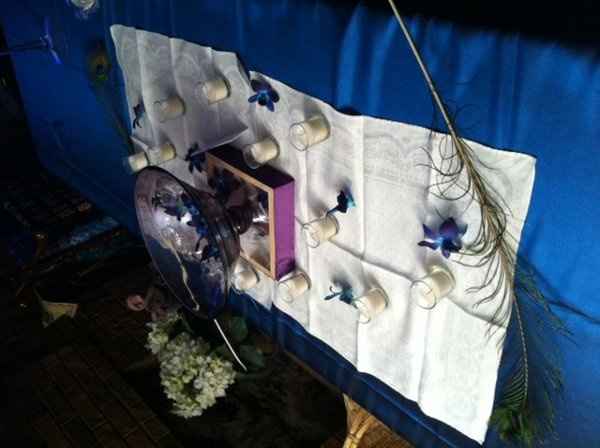 My peacock diy adventures