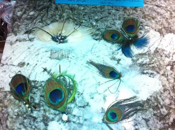 My peacock diy adventures