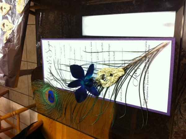 My peacock diy adventures