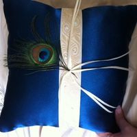 My peacock diy adventures