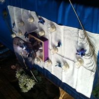 My peacock diy adventures