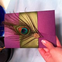 My peacock diy adventures