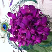 My peacock diy adventures