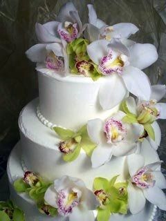 Need some cake insperation