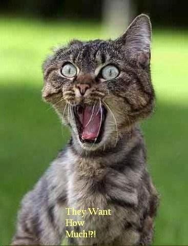 This is how I feel about wedding planning....