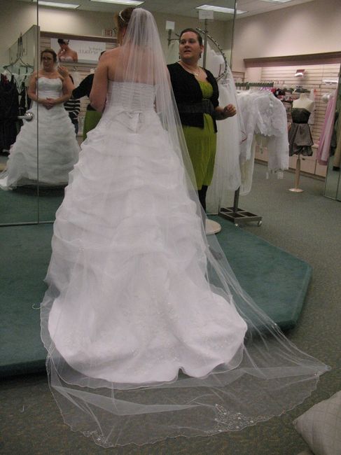 Veil Inspiration