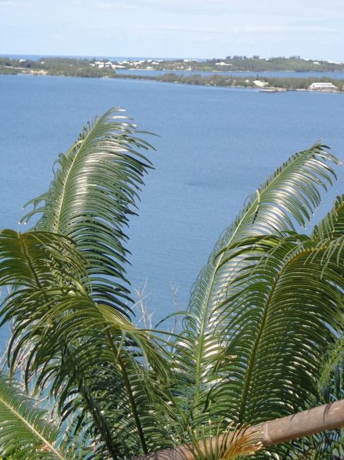 BERMUDA!!  Honeymoon pics (pic heavy)