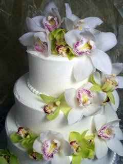 Need some cake insperation