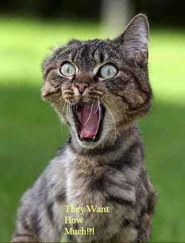 This is how I feel about wedding planning....