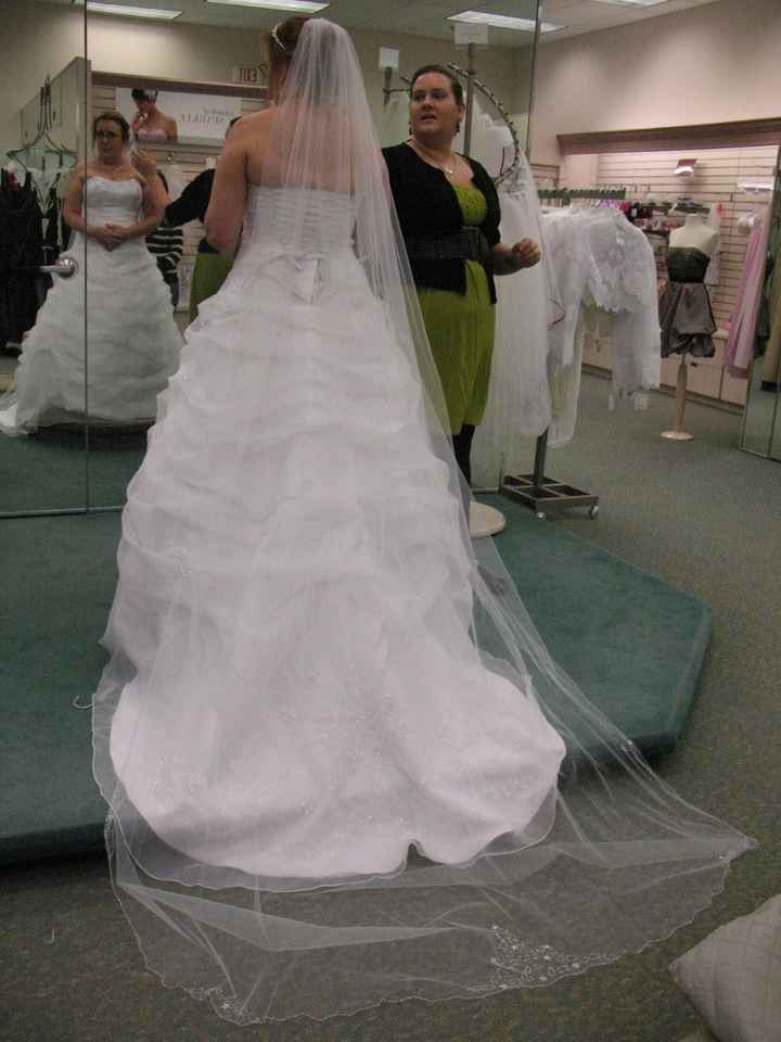 Veil Inspiration