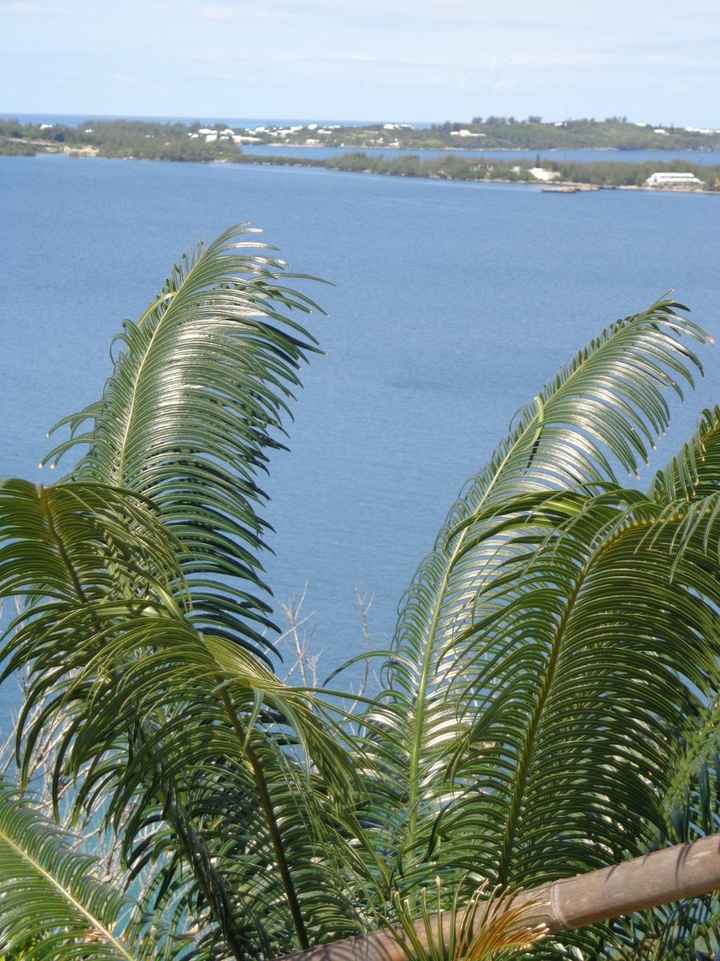 BERMUDA!!  Honeymoon pics (pic heavy)