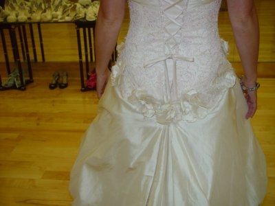 OMG!!  I got THE Dress!!  Pics!