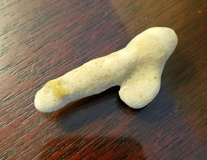 NSFW/NWR: Veggie Peen!!!!