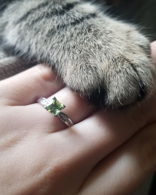 Brides of 2019!  Show us your ring! 7