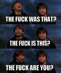 The best GoFundMe I've seen so far..