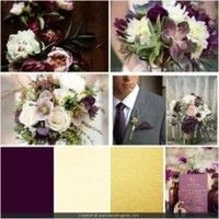 What are your colors?