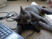 We've seen your rings, your dresses, your jewels.... show me your