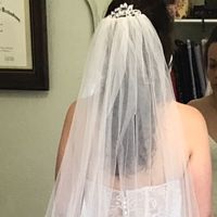 Veil and hair comb