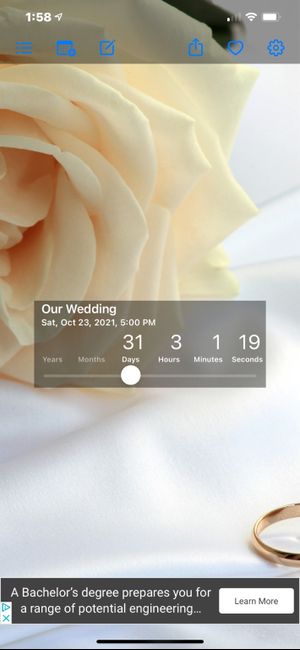 2021 Georgia Brides - How Many Days Left?! Tell us Your City & Venue! - 1