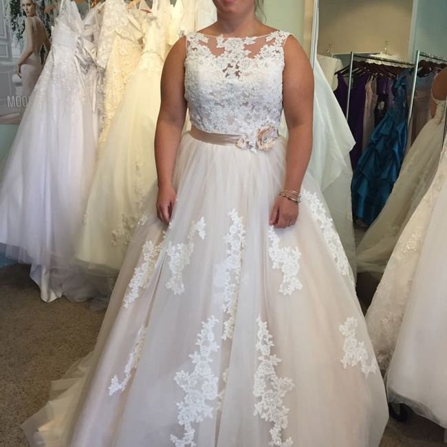 LET'S  SEE THE DRESSES