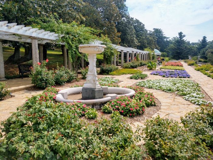 What about the rain? 2