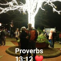 How did you and your significant other meet? - 1