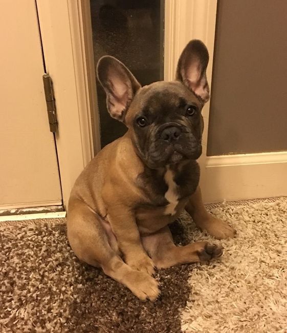 NWR Animal Lovers