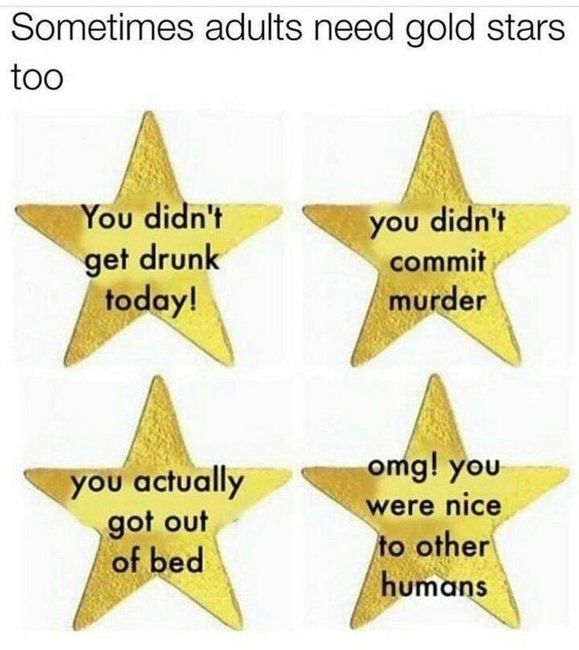 5 Stars!